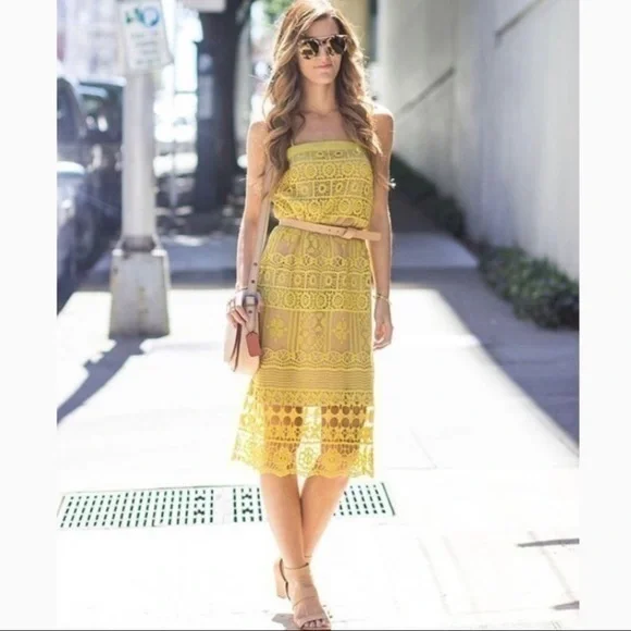 jacquard lace mini dress Simkhai Laila Chantilly Jacquard Mini Dress